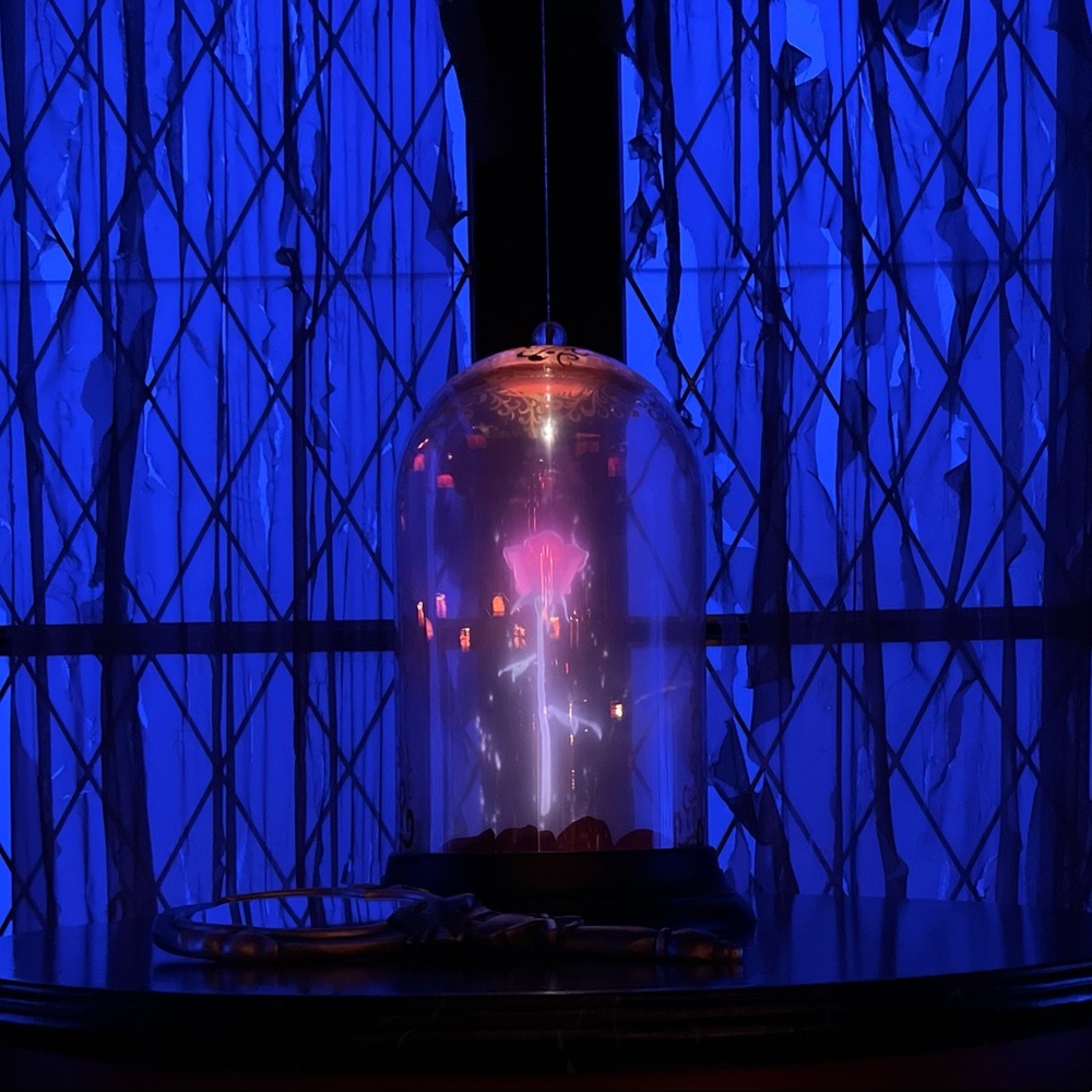 Meet your Posher, Nori